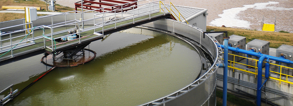 Improve Plant Performance and Reduce Industrial Wastewater Costs • Byo-Gon